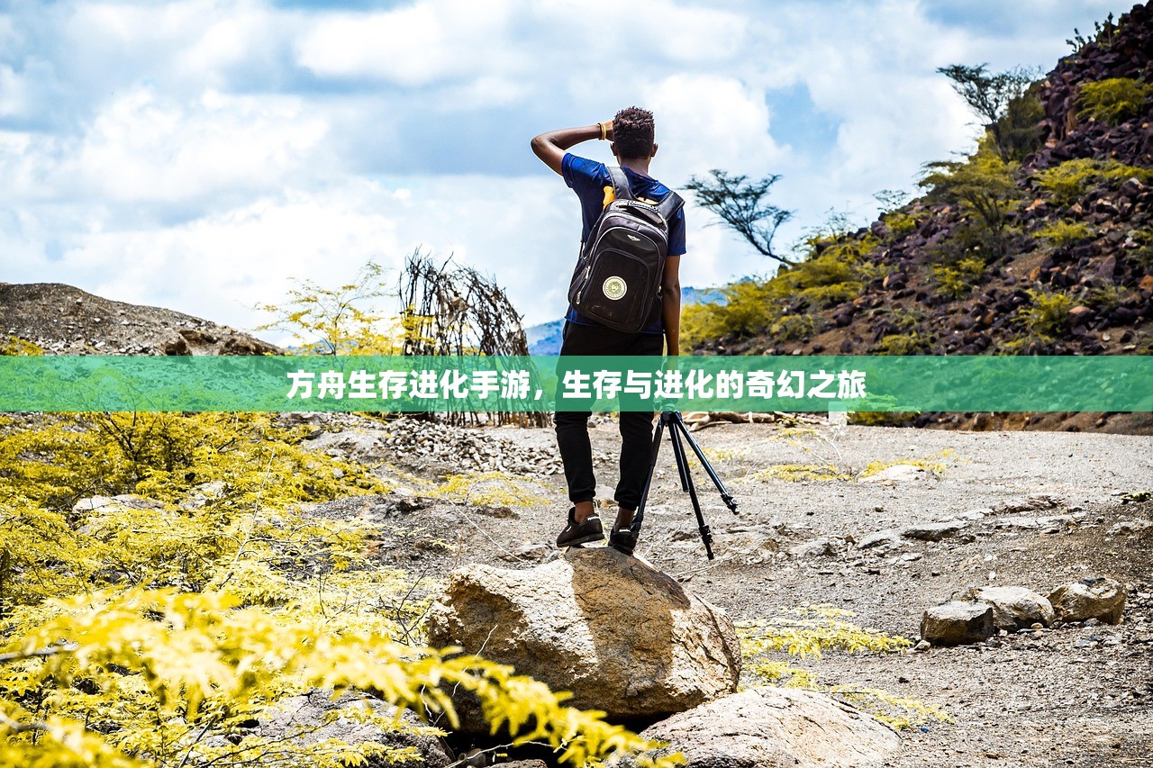 方舟生存进化手游，生存与进化的奇幻之旅
