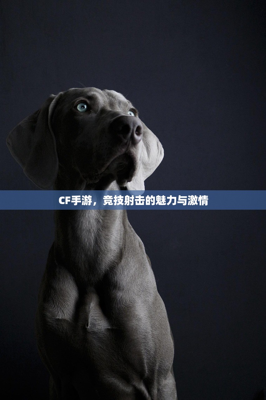 CF手游，竞技射击的魅力与激情