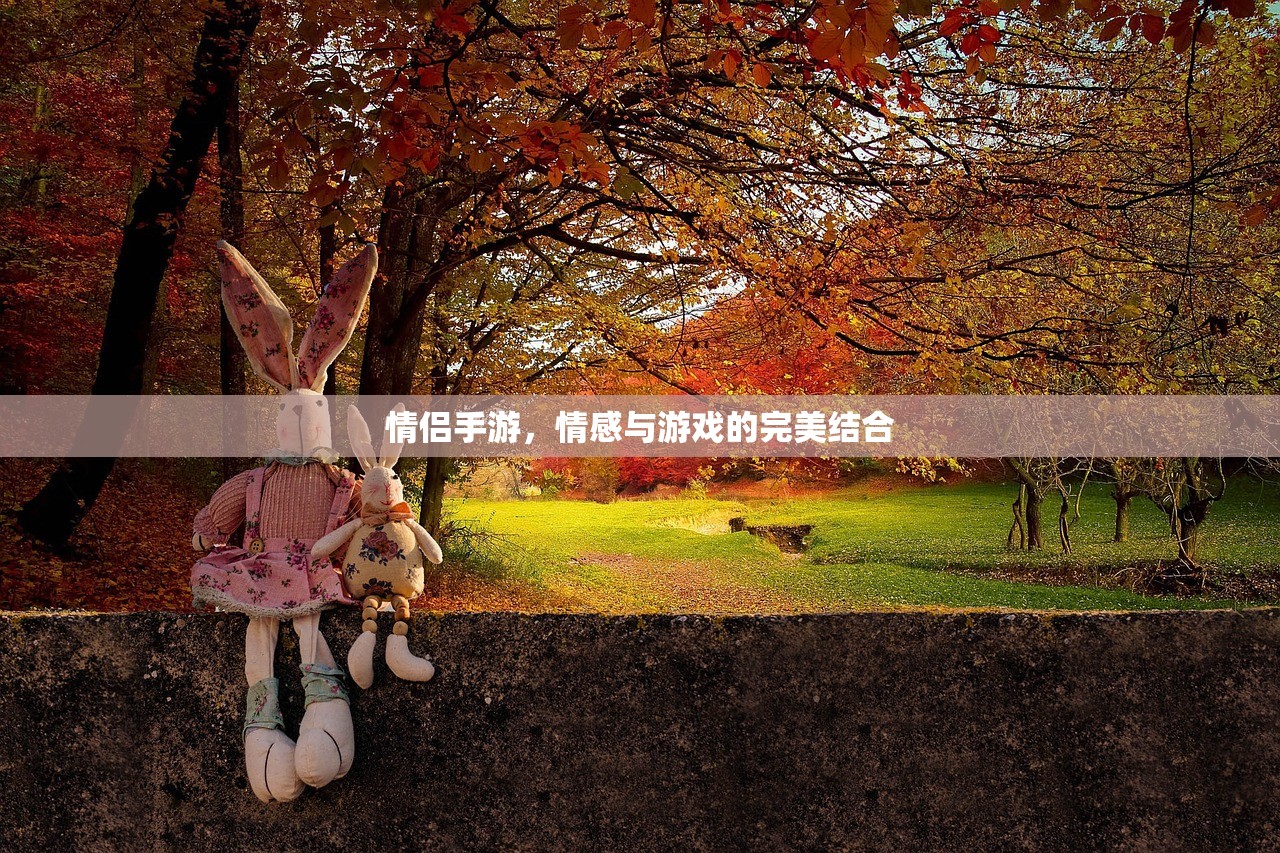 情侣手游，情感与游戏的完美结合