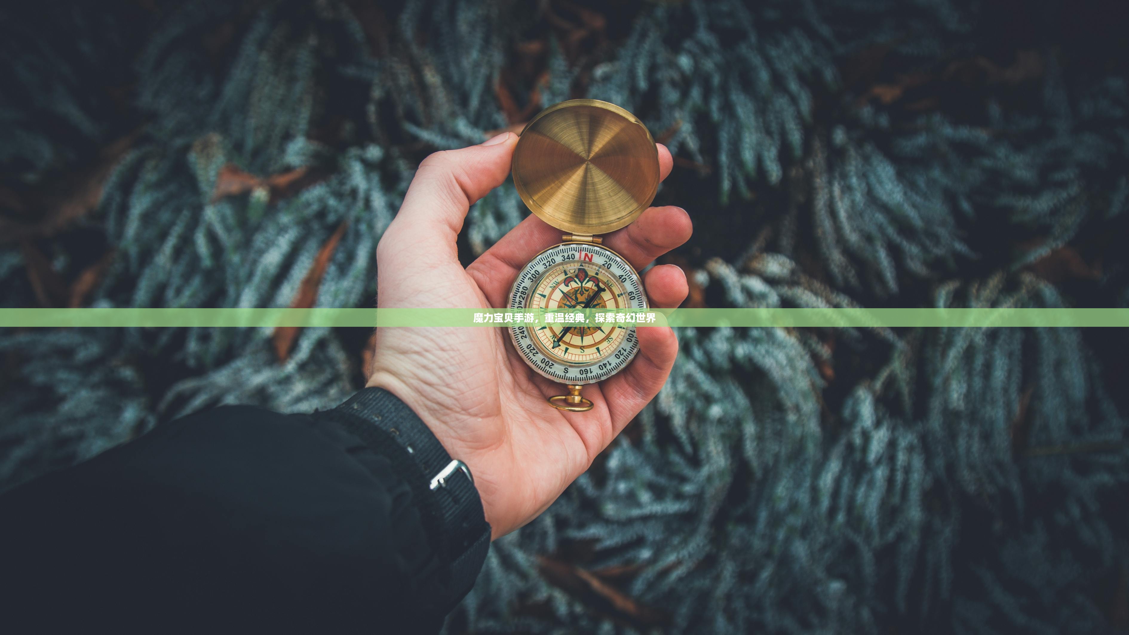 魔力宝贝手游，重温经典，探索奇幻世界
