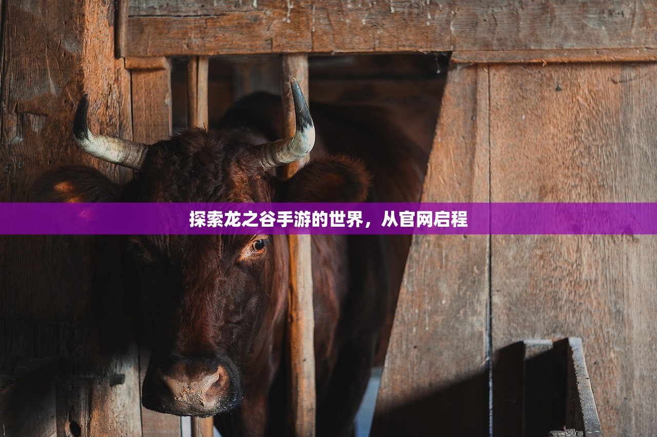 探索龙之谷手游的世界，从官网启程