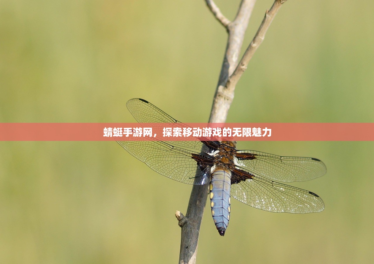 蜻蜓手游网，探索移动游戏的无限魅力