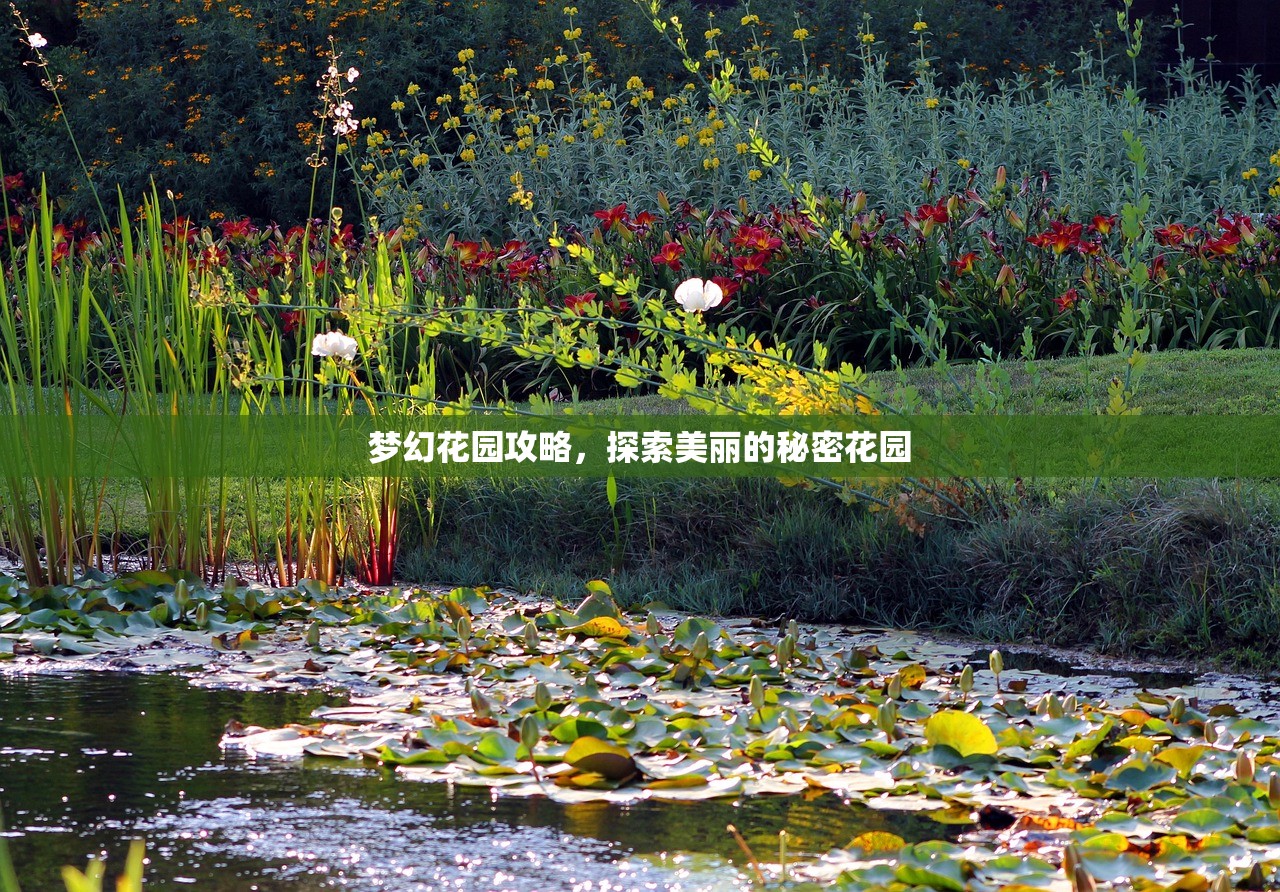 梦幻花园攻略，探索美丽的秘密花园