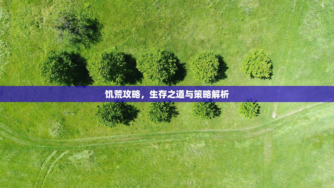 饥荒攻略，生存之道与策略解析