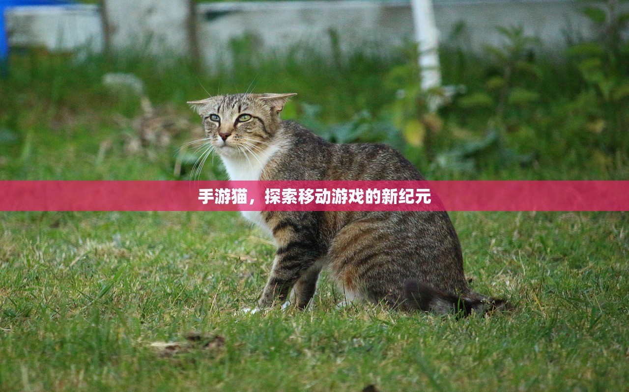 手游猫，探索移动游戏的新纪元