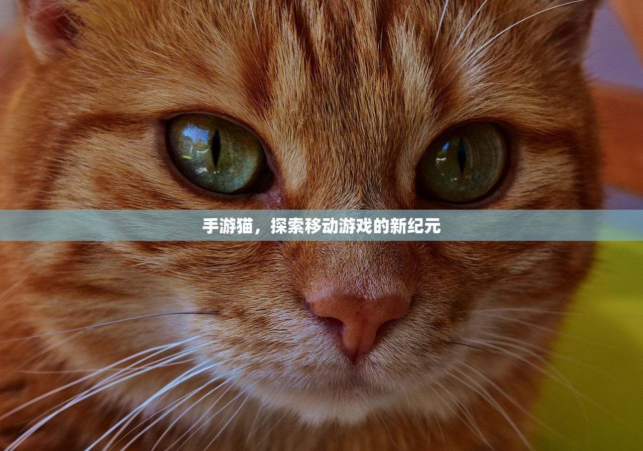 手游猫，探索移动游戏的新纪元