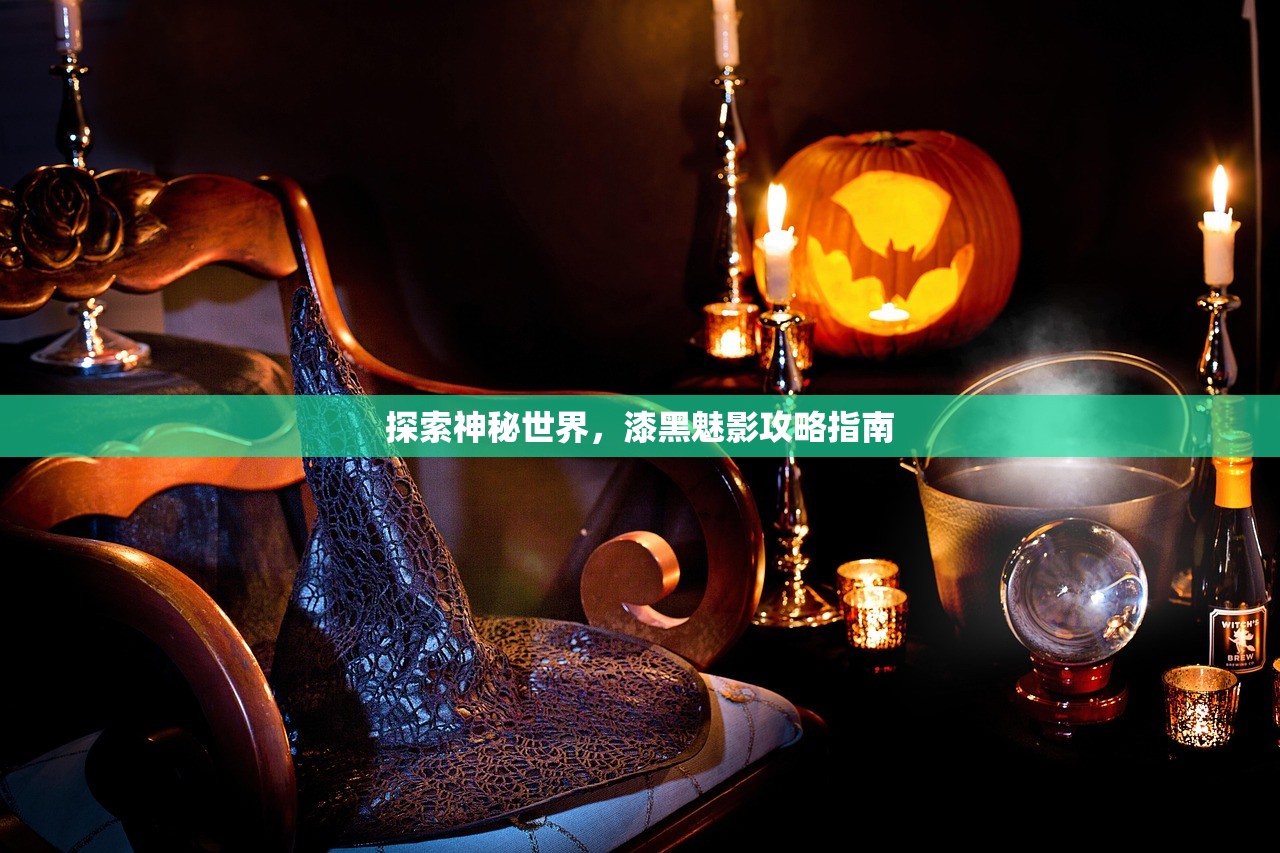 探索神秘世界，漆黑魅影攻略指南