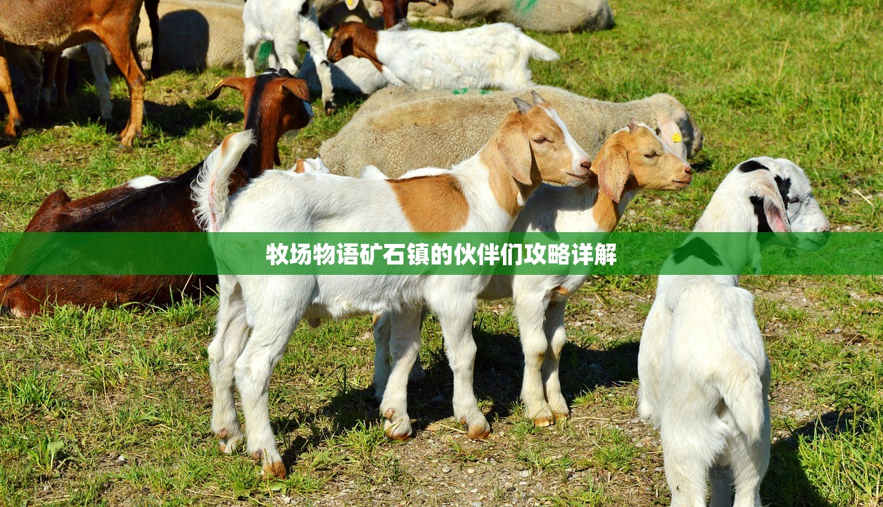 牧场物语矿石镇的伙伴们攻略详解