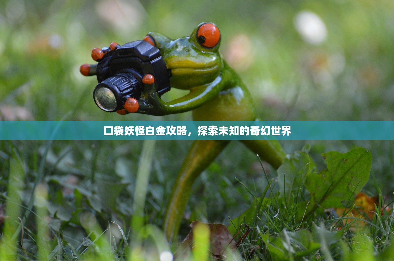 口袋妖怪白金攻略，探索未知的奇幻世界