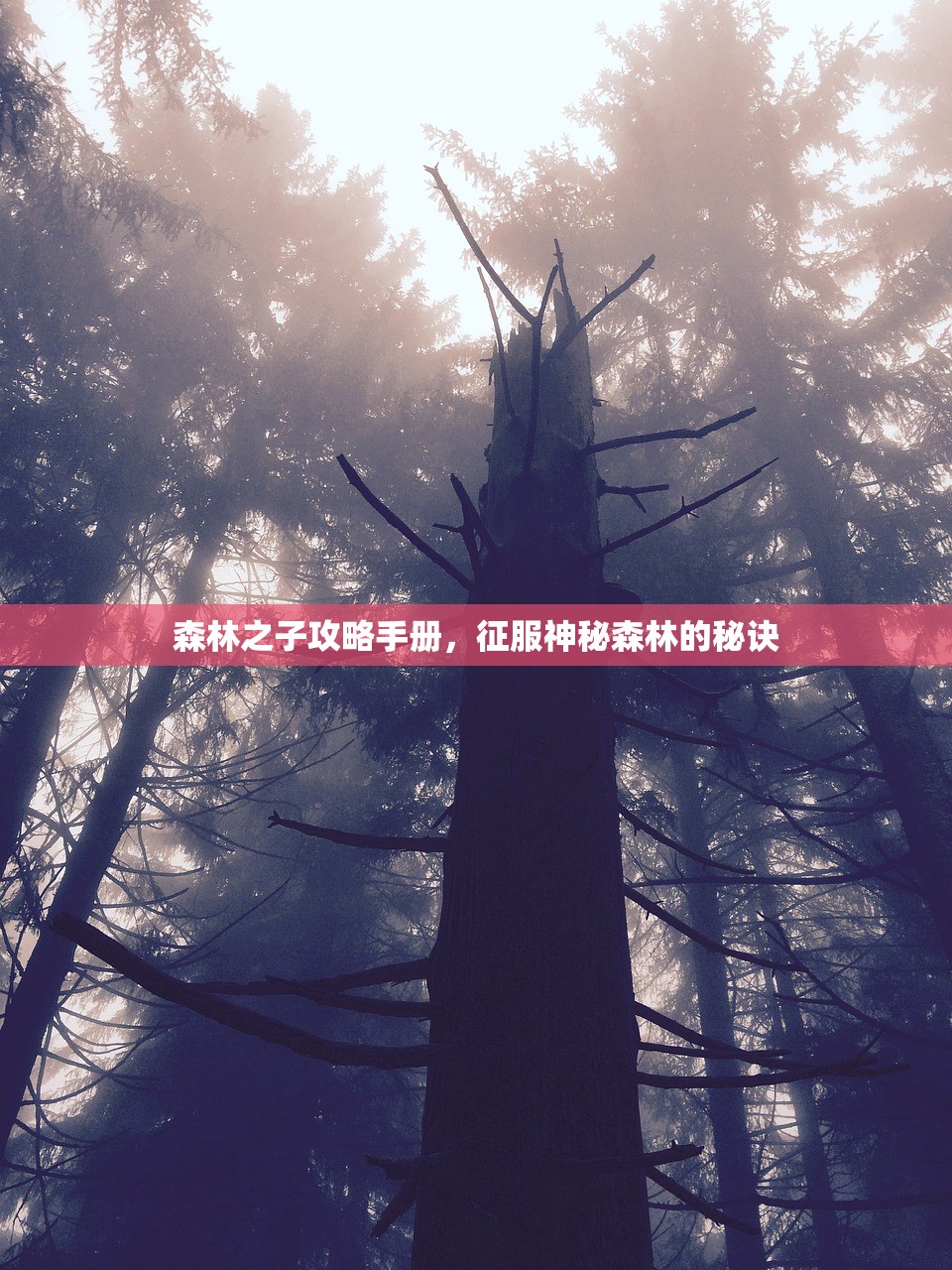 森林之子攻略手册，征服神秘森林的秘诀