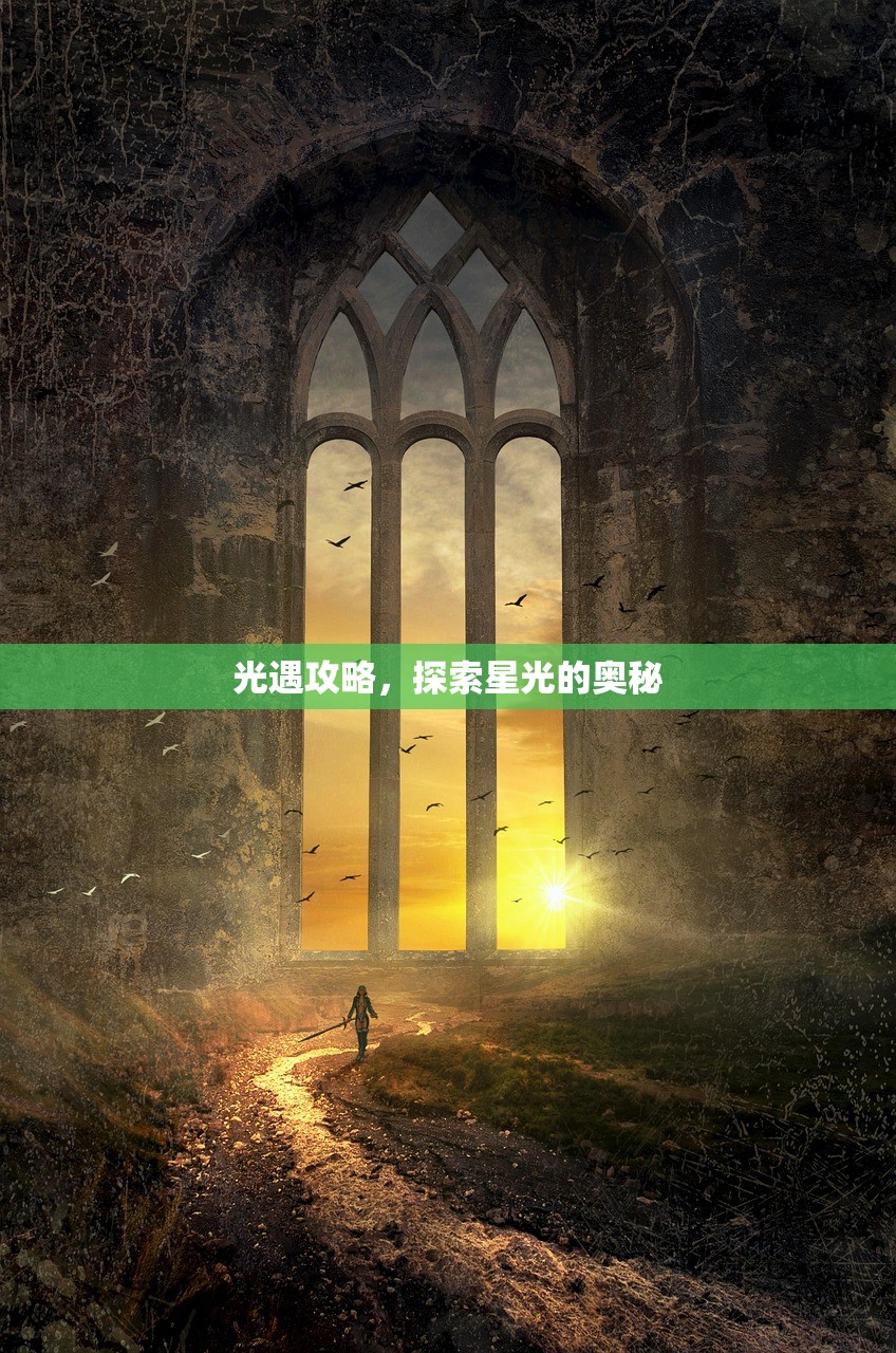 光遇攻略，探索星光的奥秘