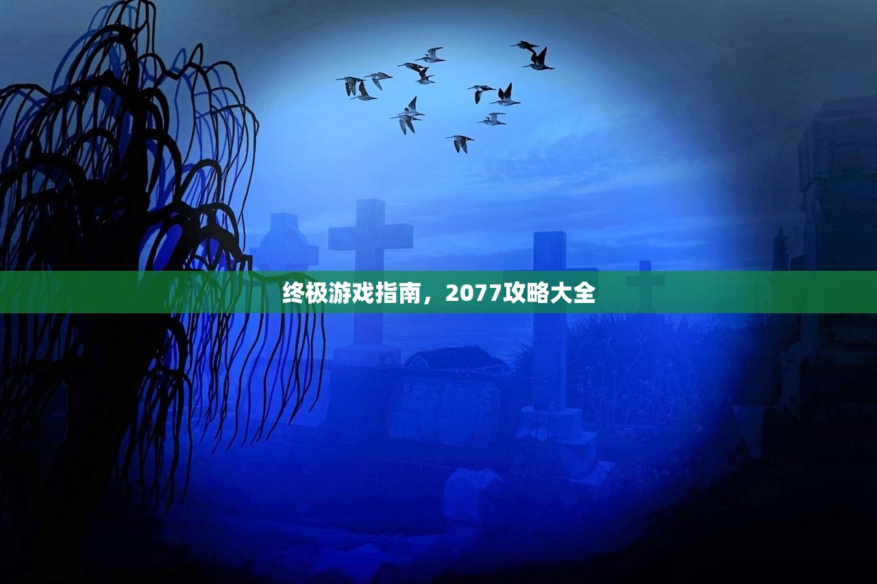 终极游戏指南，2077攻略大全