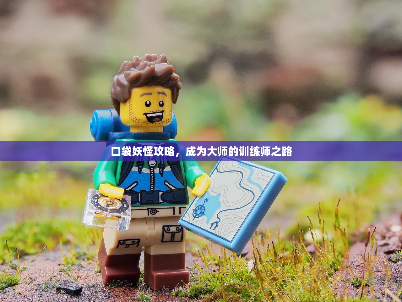 口袋妖怪攻略，成为大师的训练师之路