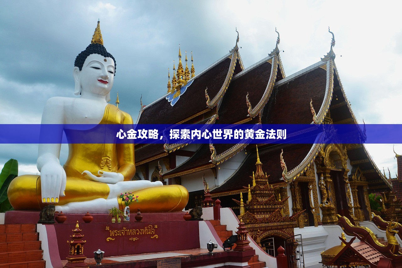 心金攻略，探索内心世界的黄金法则