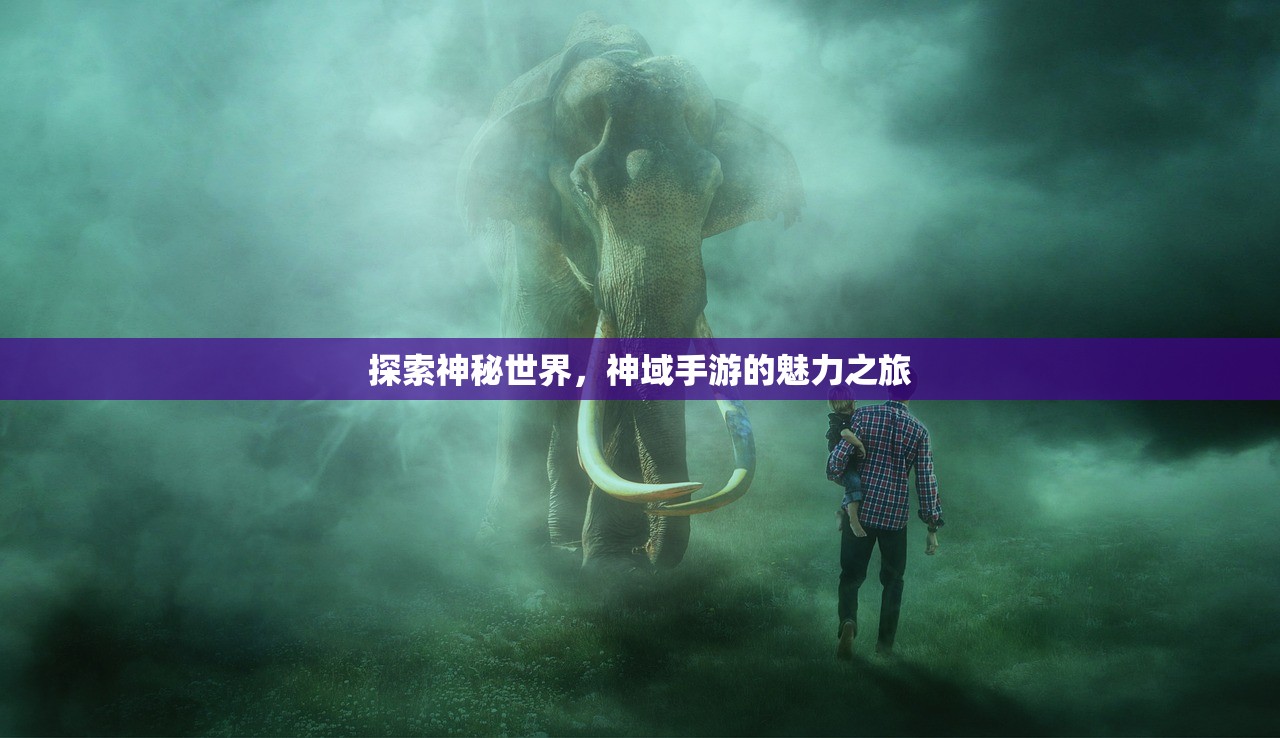 探索神秘世界，神域手游的魅力之旅