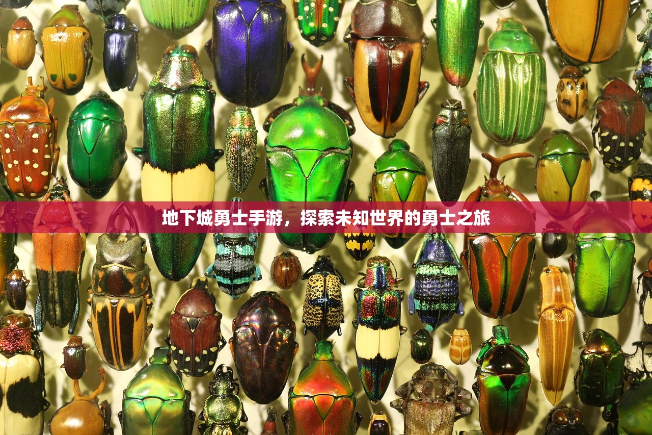 地下城勇士手游，探索未知世界的勇士之旅