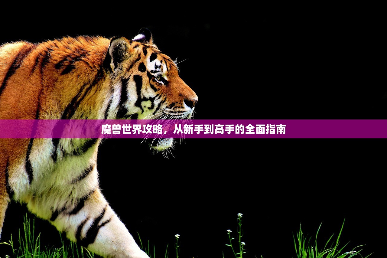 魔兽世界攻略，从新手到高手的全面指南