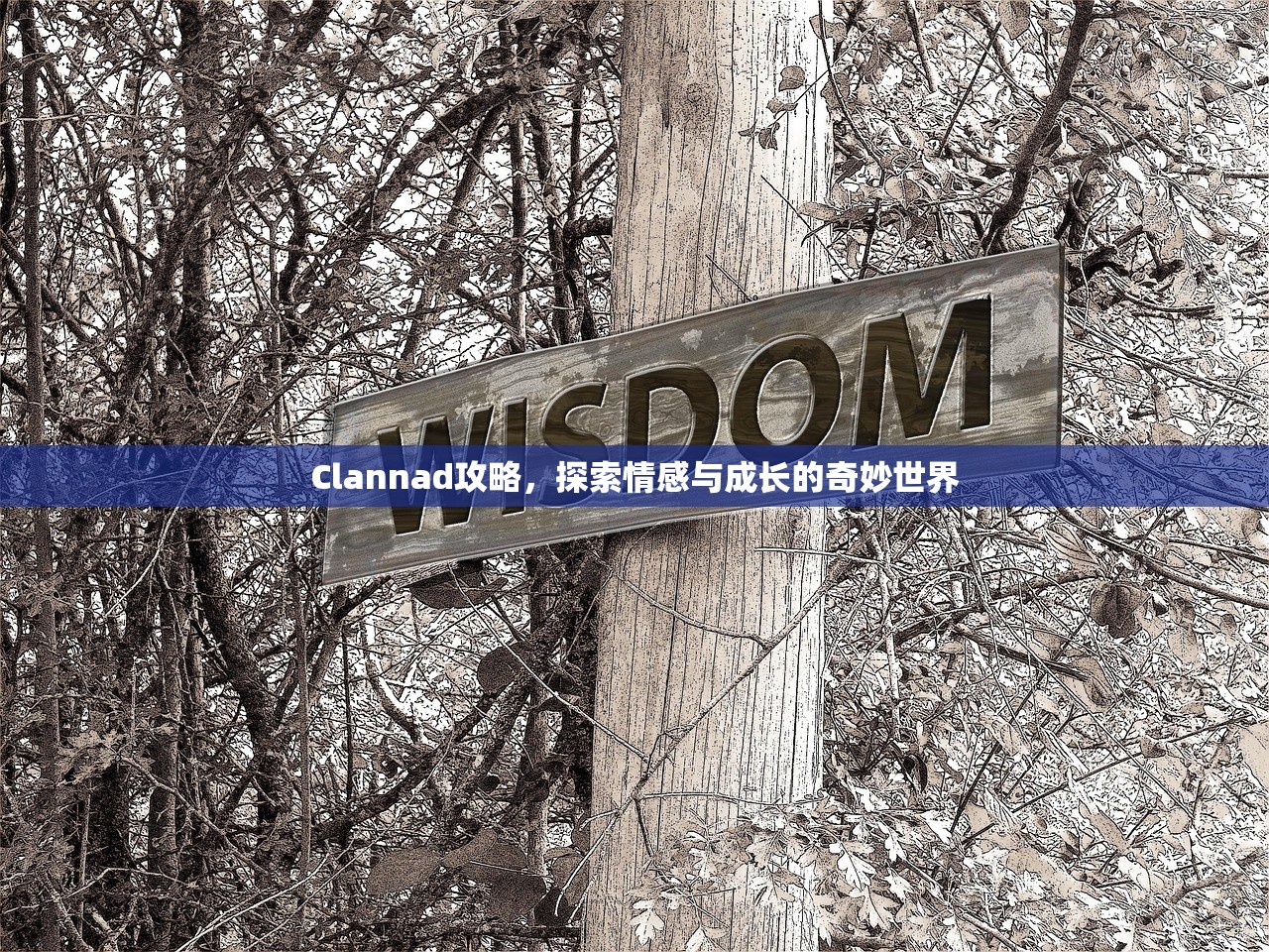 Clannad攻略，探索情感与成长的奇妙世界