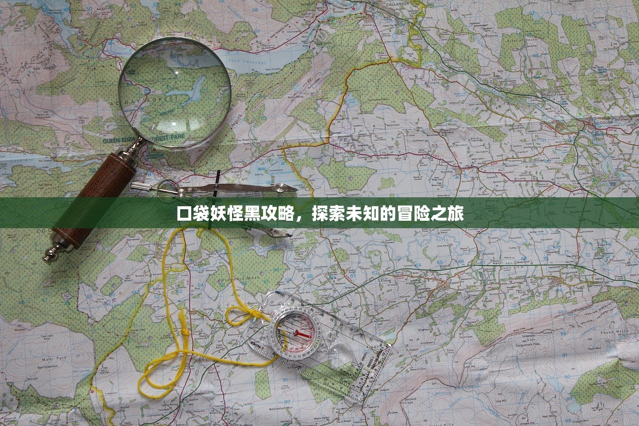 口袋妖怪黑攻略，探索未知的冒险之旅