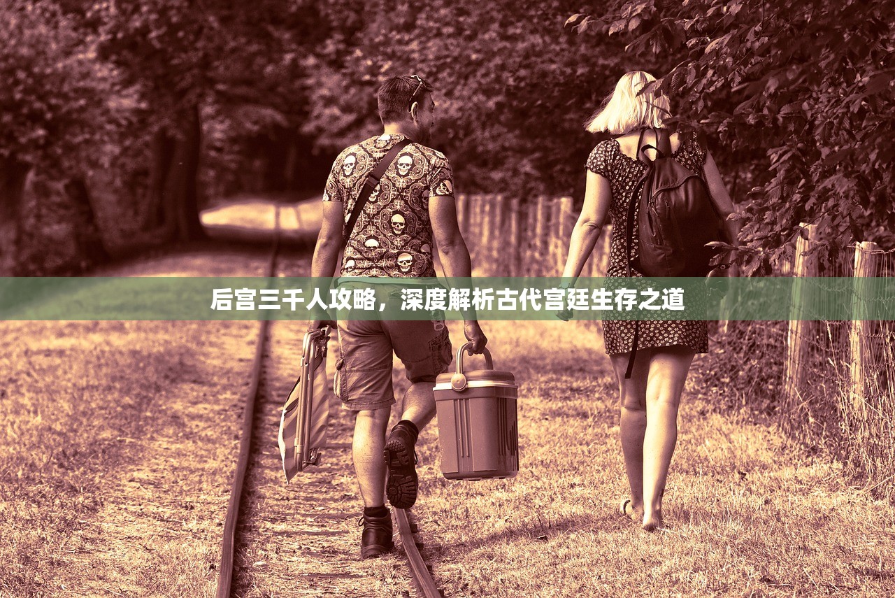 后宫三千人攻略，深度解析古代宫廷生存之道