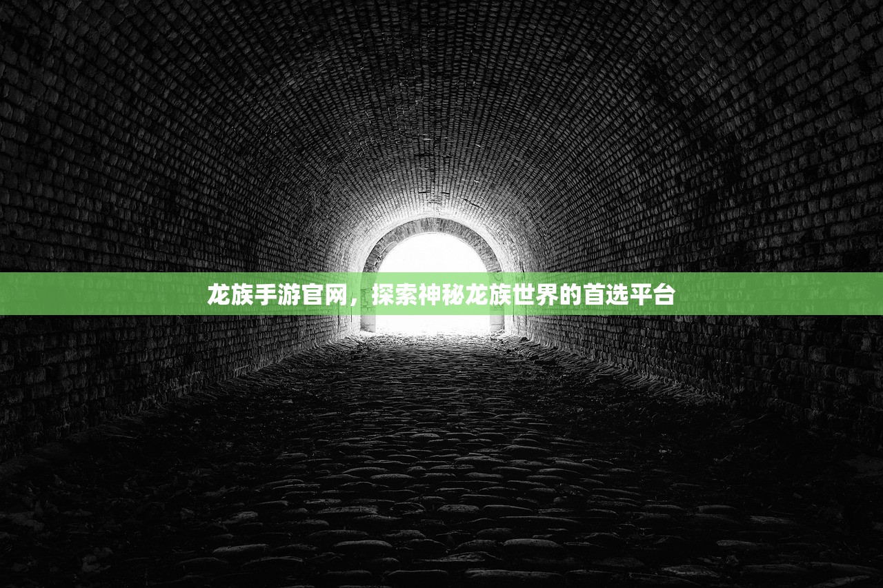 龙族手游官网，探索神秘龙族世界的首选平台