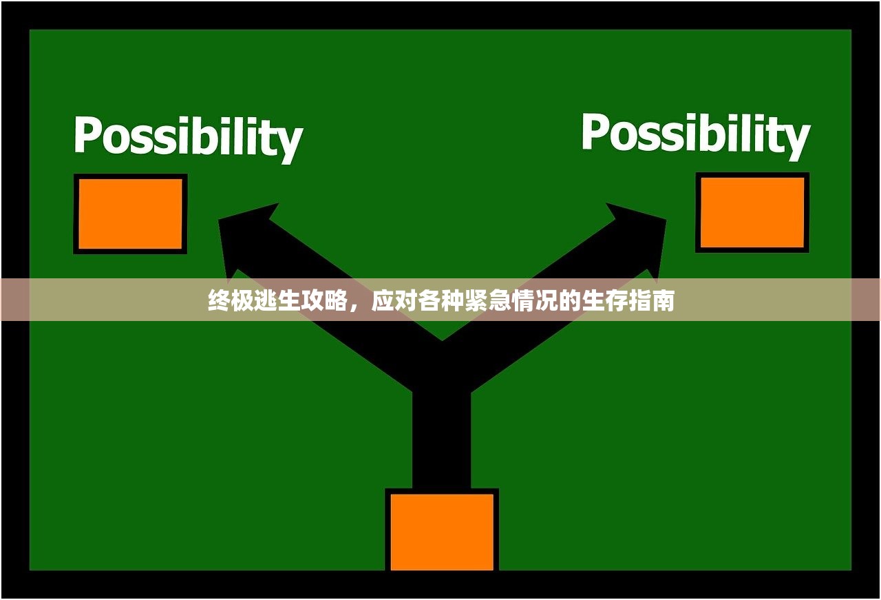 终极逃生攻略，应对各种紧急情况的生存指南