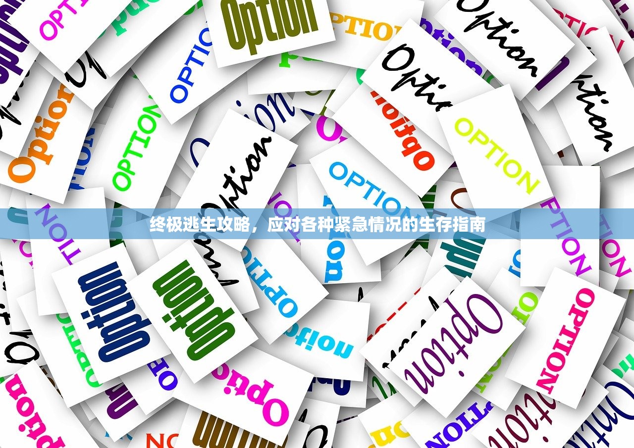 终极逃生攻略，应对各种紧急情况的生存指南