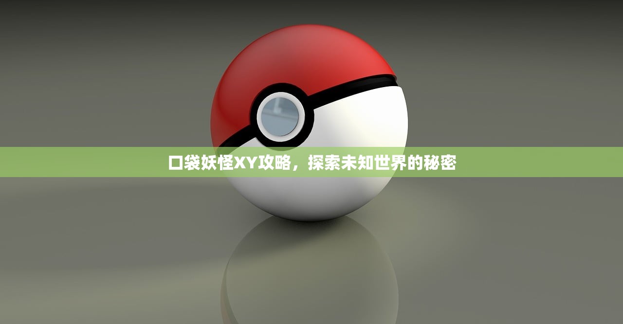 口袋妖怪XY攻略，探索未知世界的秘密