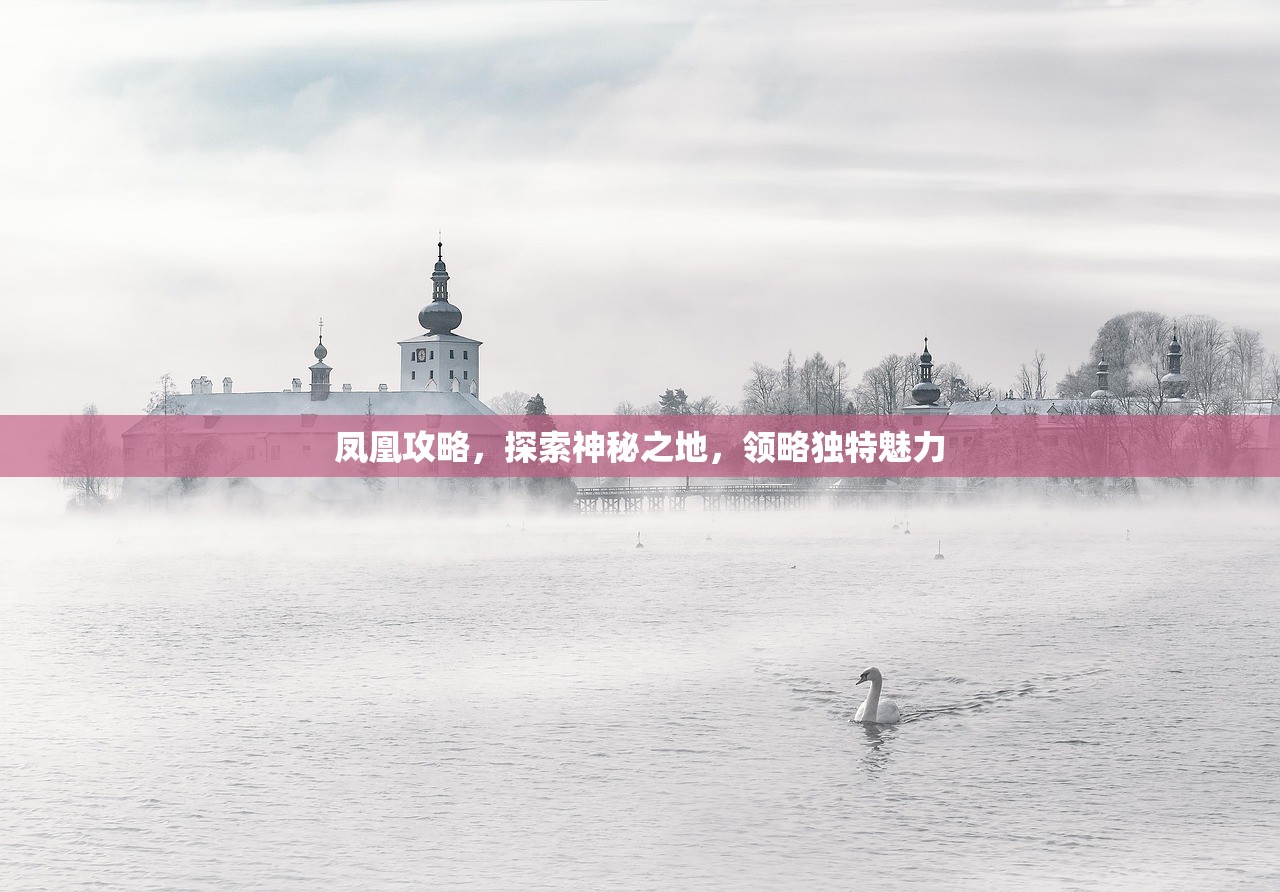 凤凰攻略，探索神秘之地，领略独特魅力