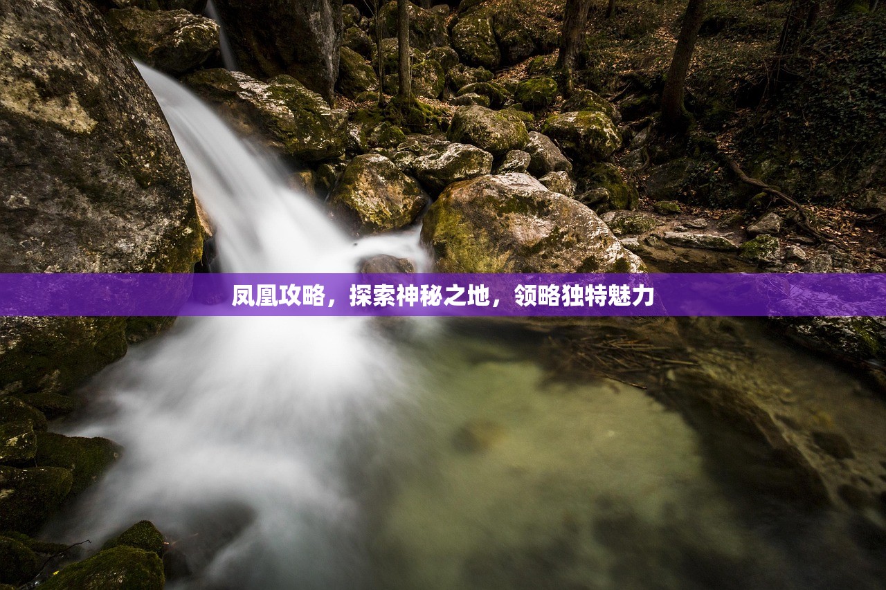 凤凰攻略，探索神秘之地，领略独特魅力