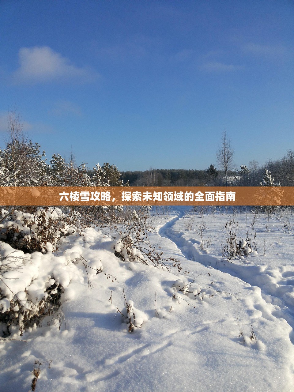 六棱雪攻略，探索未知领域的全面指南