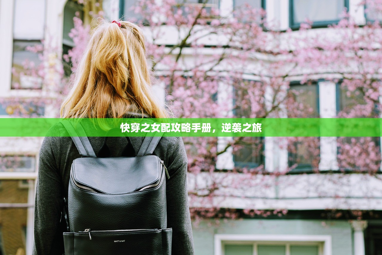 快穿之女配攻略手册，逆袭之旅