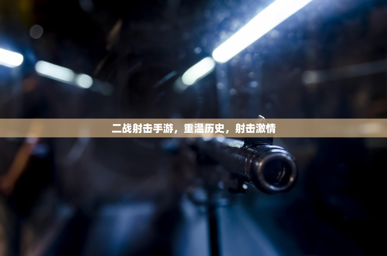 二战射击手游，重温历史，射击激情