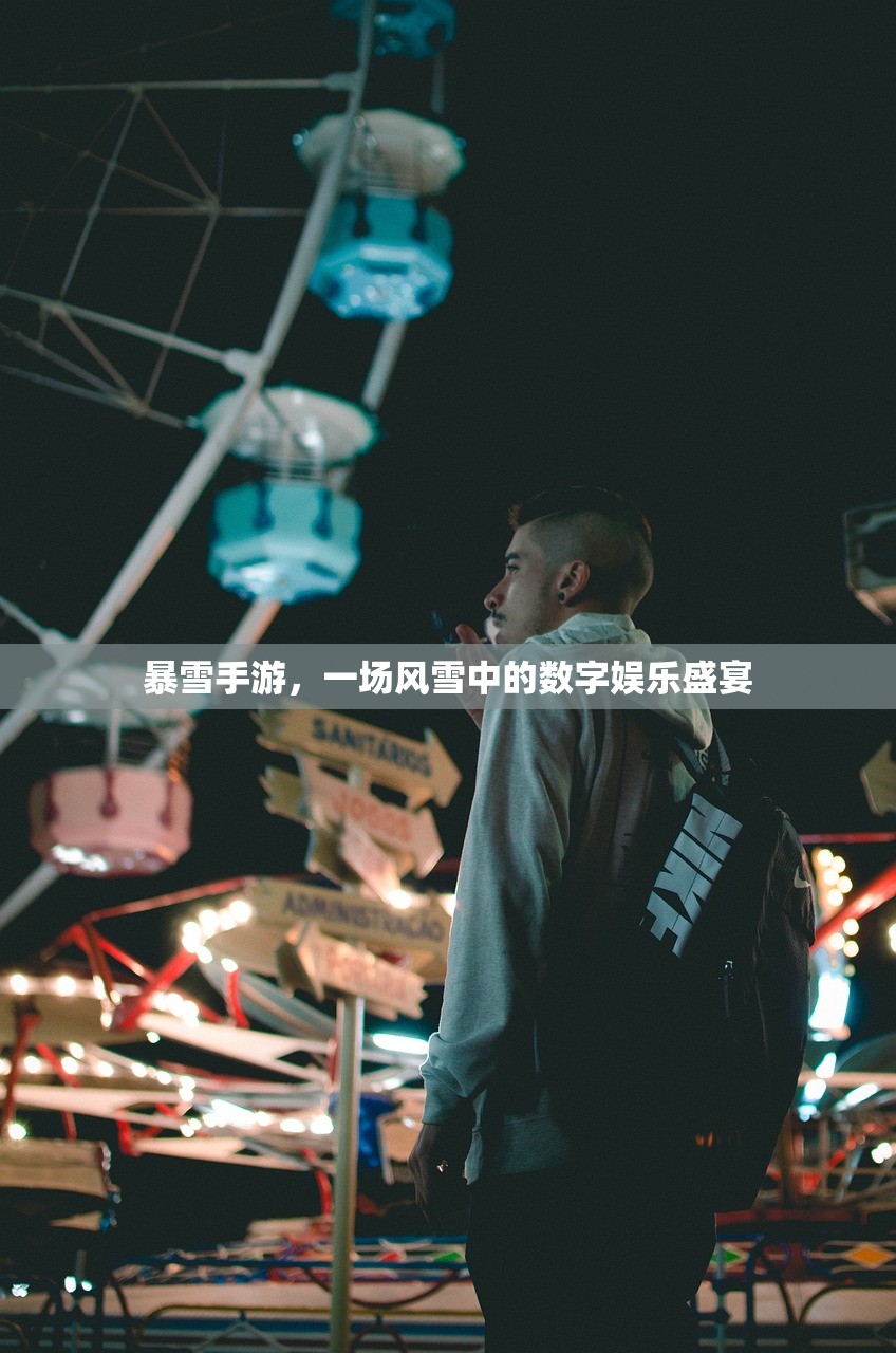 暴雪手游，一场风雪中的数字娱乐盛宴