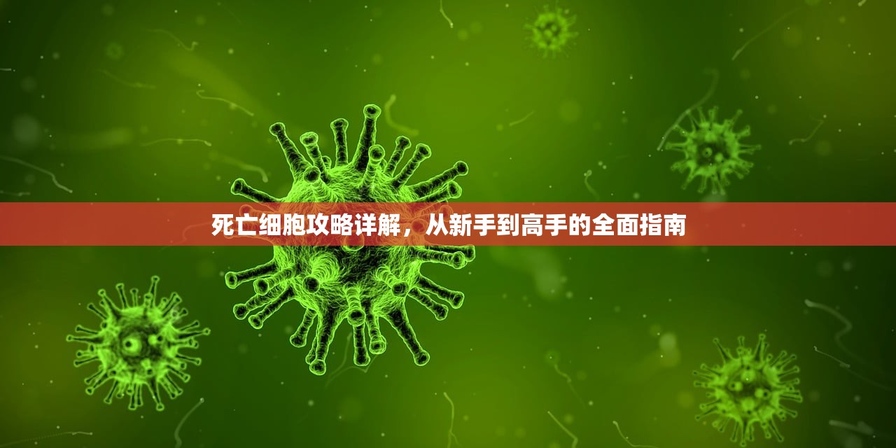 死亡细胞攻略详解，从新手到高手的全面指南
