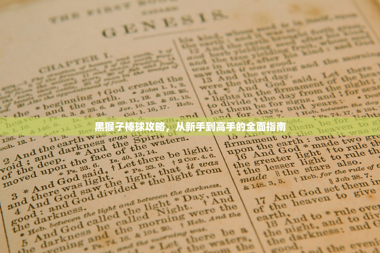 黑猴子棒球攻略，从新手到高手的全面指南