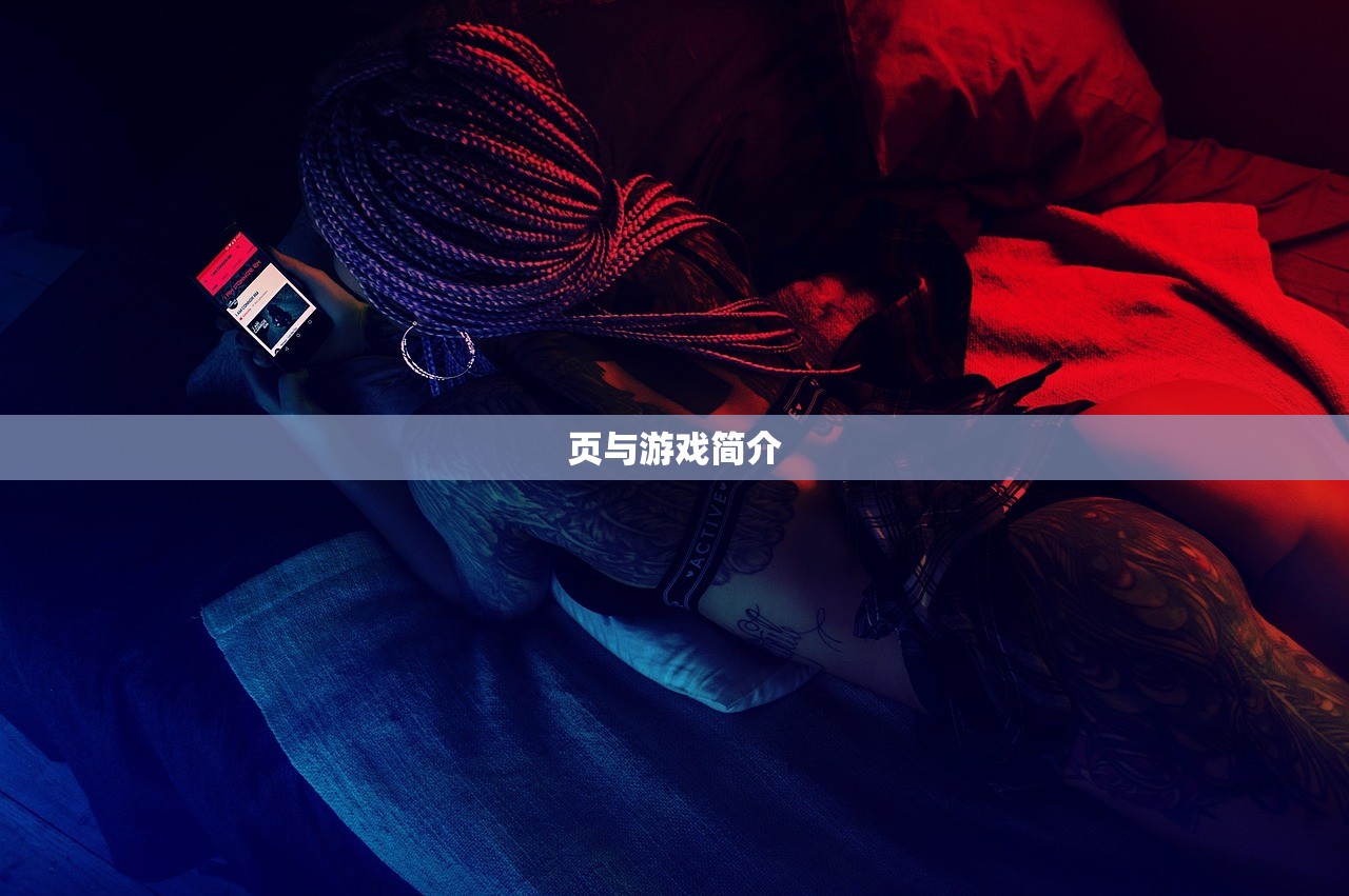 页与游戏简介