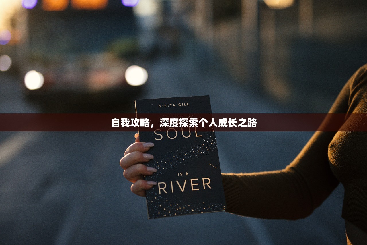 自我攻略，深度探索个人成长之路