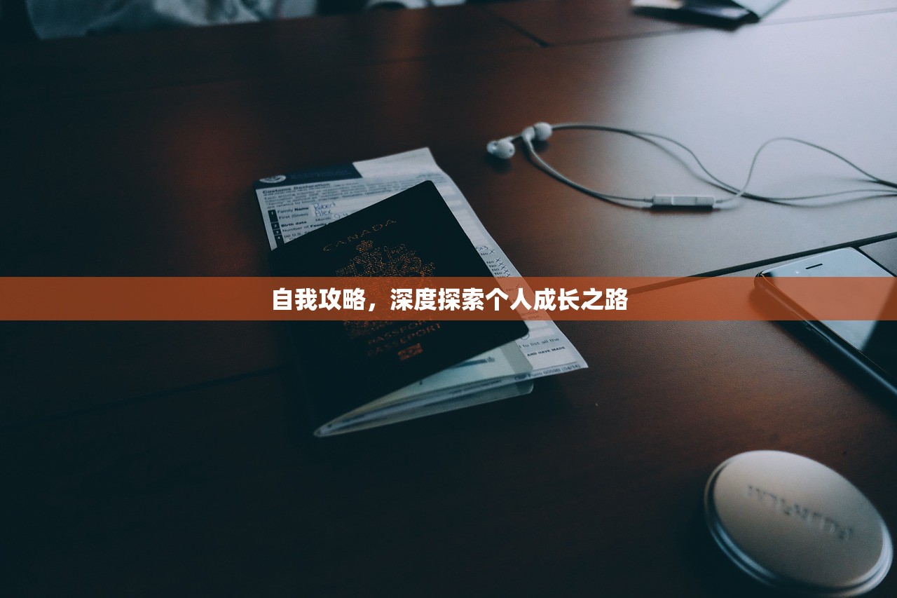 自我攻略，深度探索个人成长之路