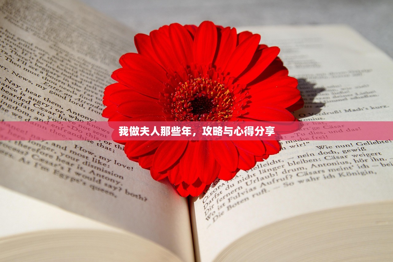 我做夫人那些年，攻略与心得分享