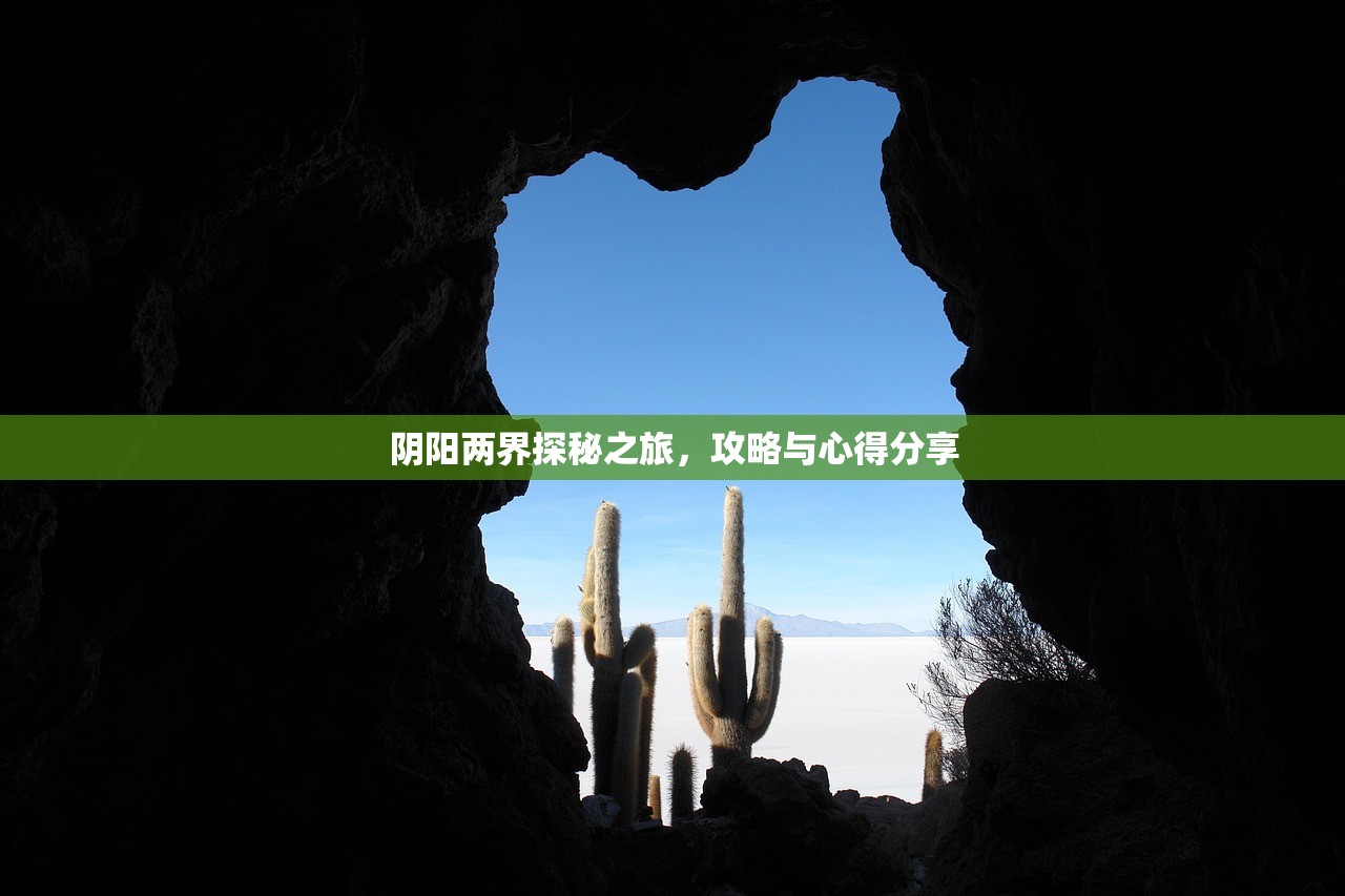 阴阳两界探秘之旅，攻略与心得分享