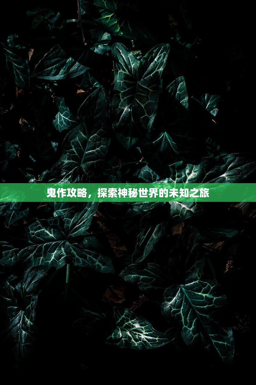 鬼作攻略，探索神秘世界的未知之旅