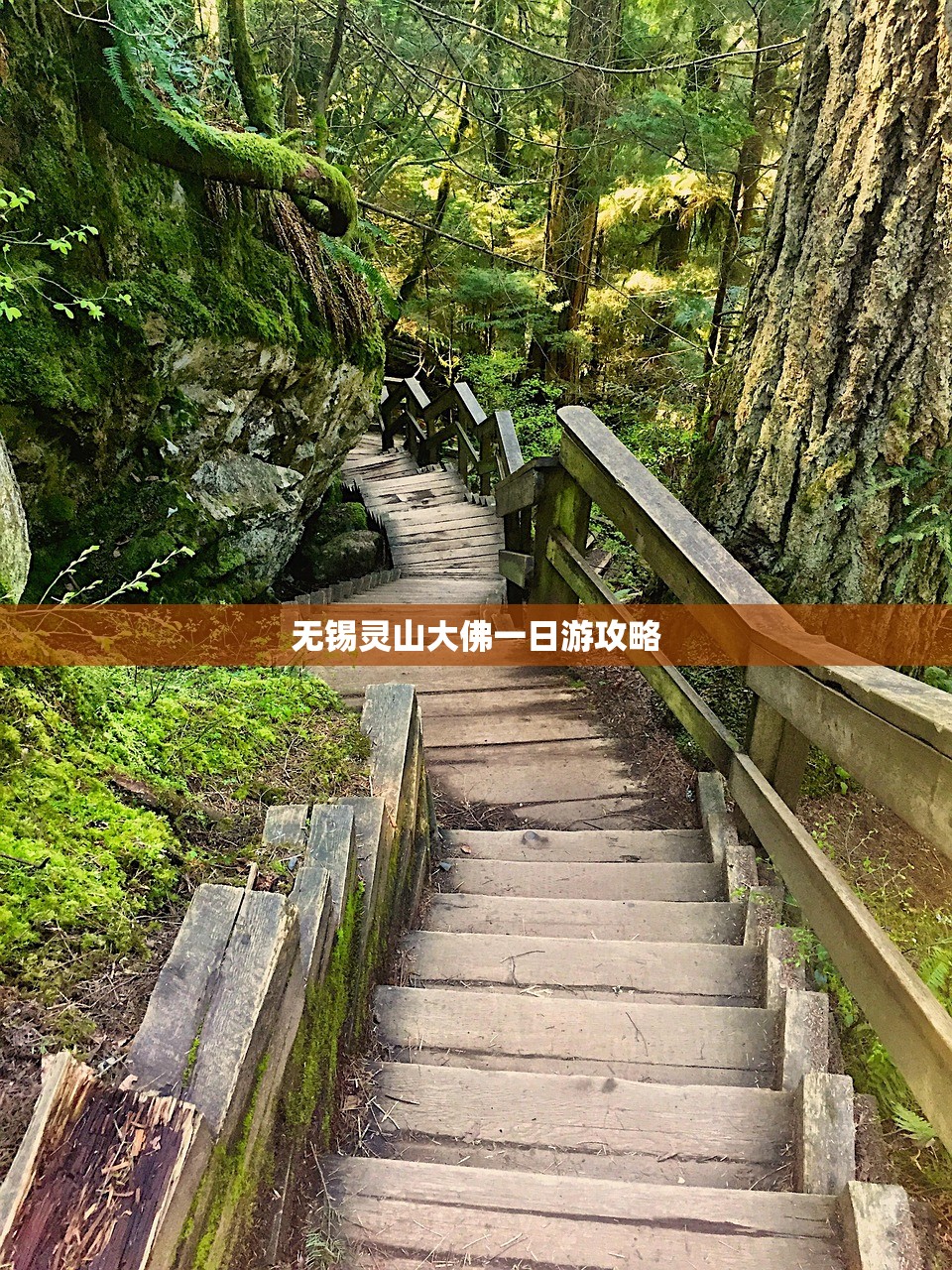 无锡灵山大佛一日游攻略