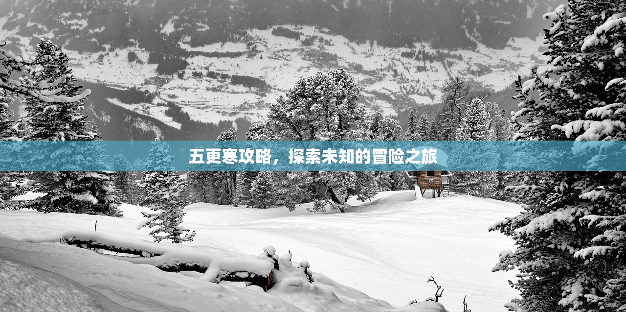 五更寒攻略，探索未知的冒险之旅