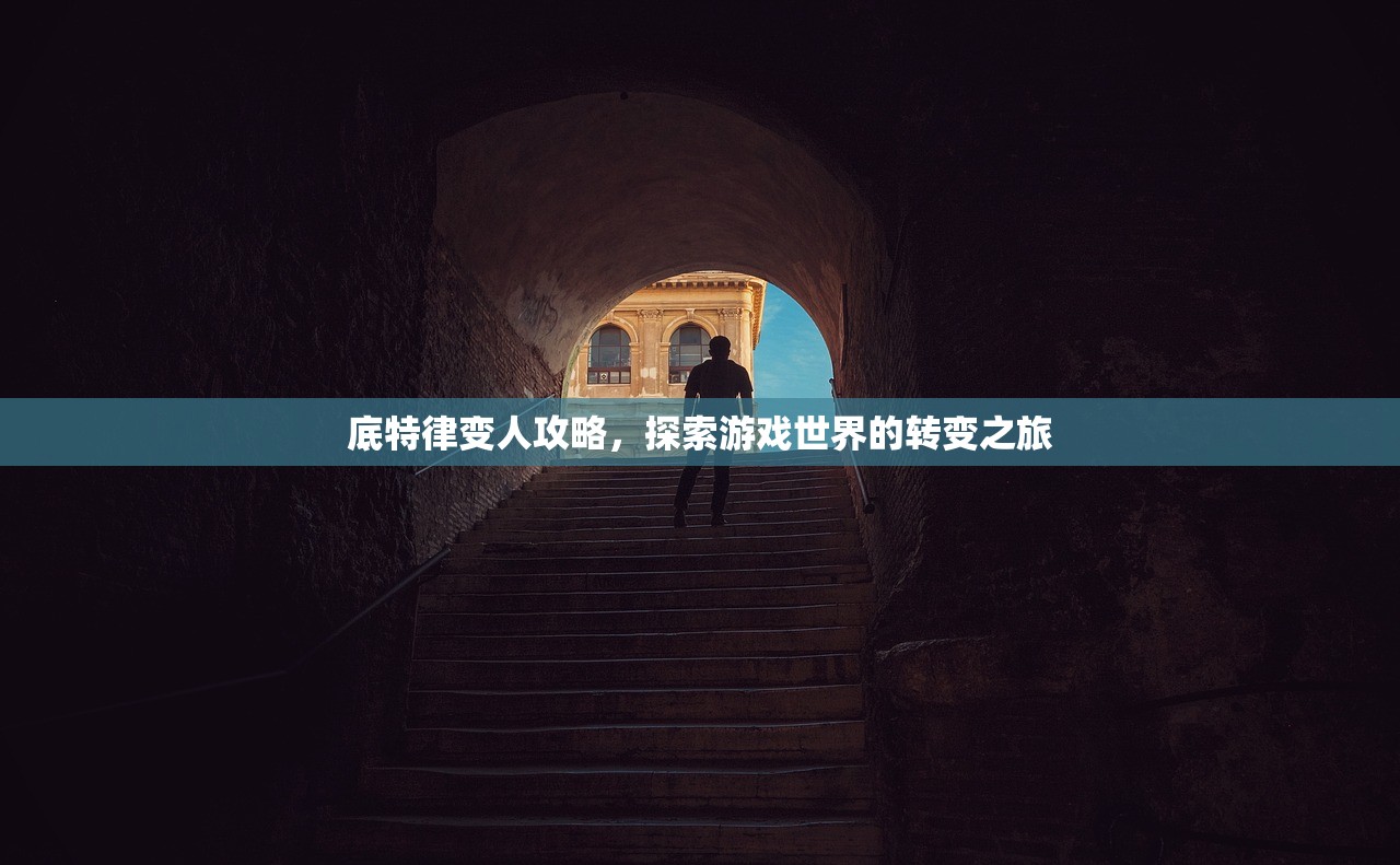 底特律变人攻略，探索游戏世界的转变之旅