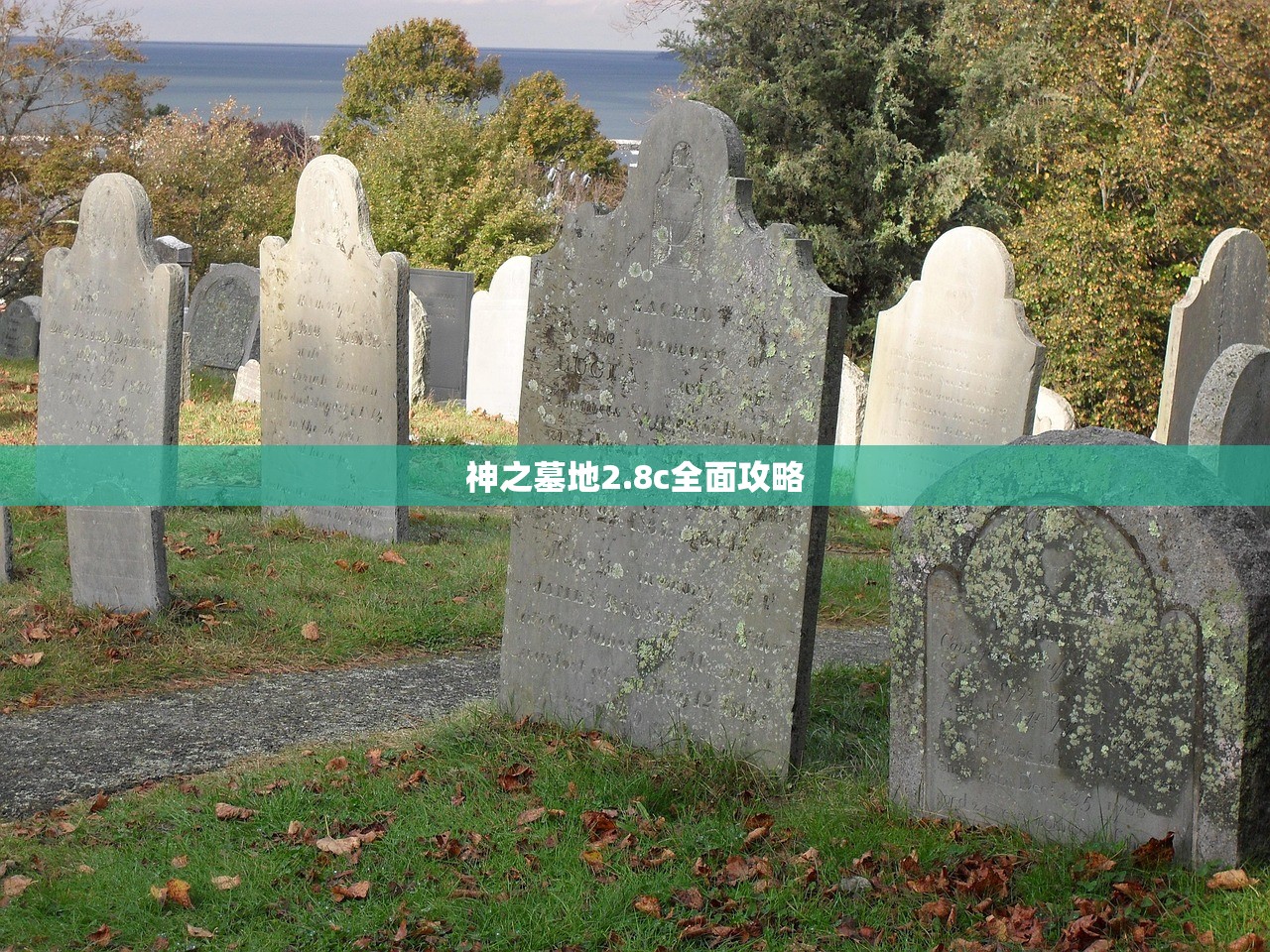 神之墓地2.8c全面攻略
