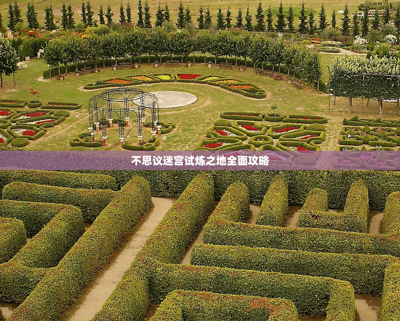 不思议迷宫试炼之地全面攻略