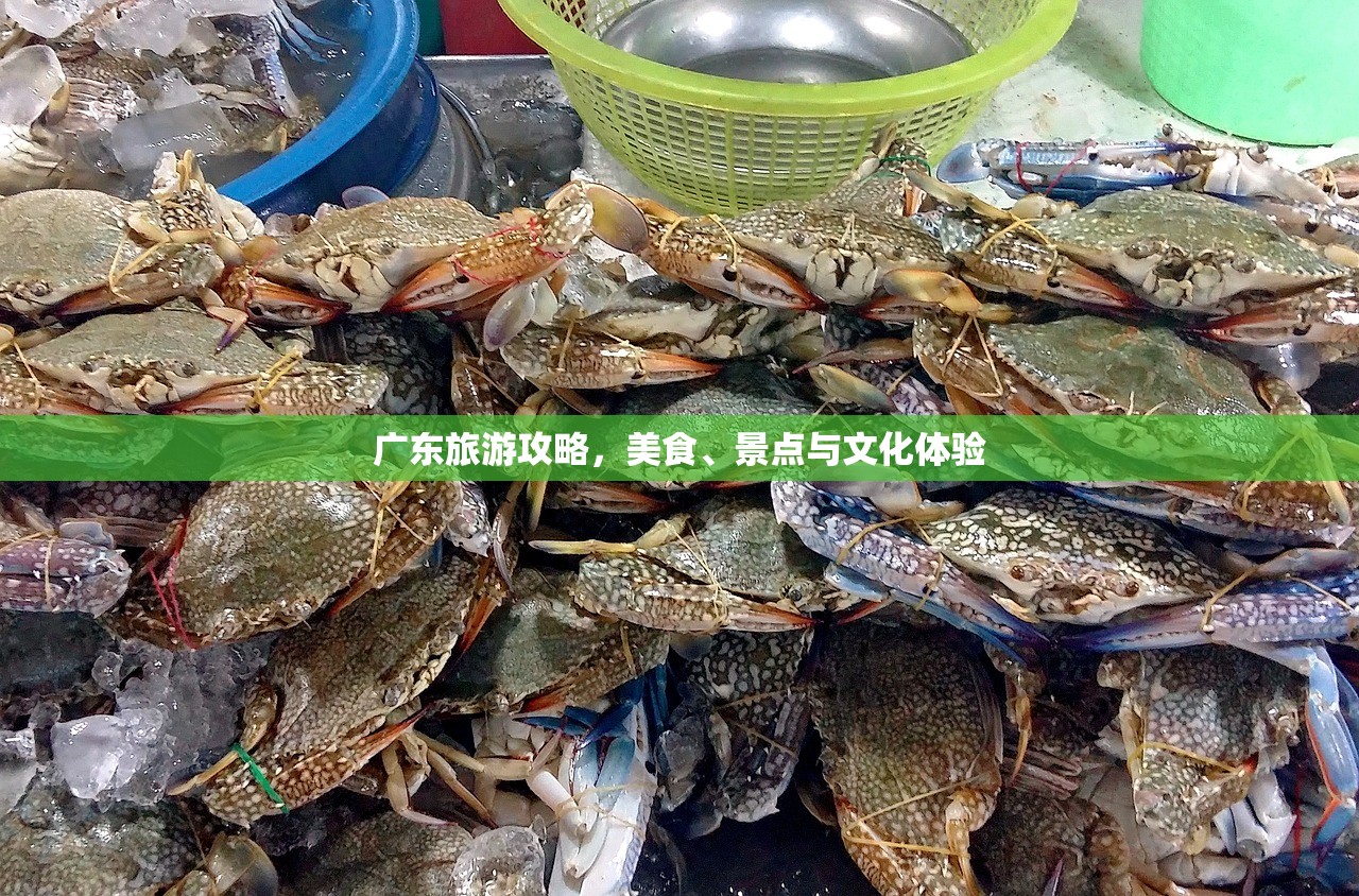 广东旅游攻略，美食、景点与文化体验