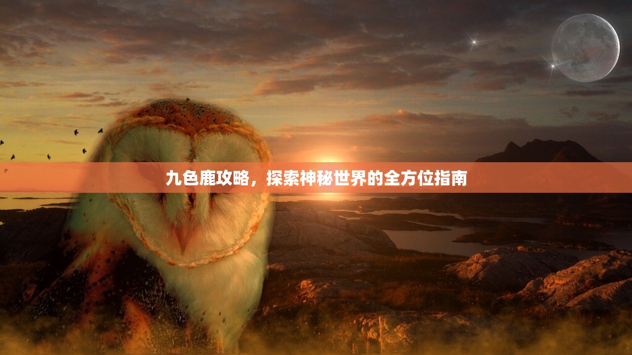 九色鹿攻略，探索神秘世界的全方位指南