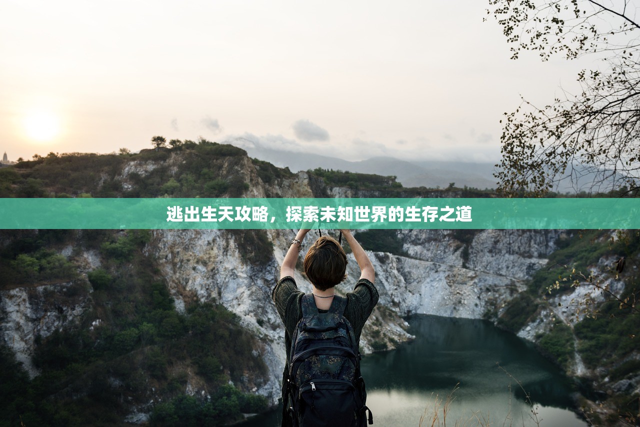 逃出生天攻略，探索未知世界的生存之道